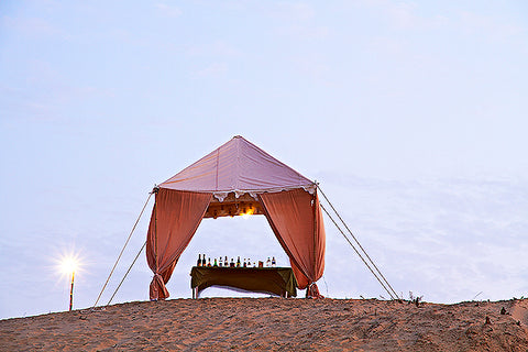 Travel Guide - Organic Oasis, India