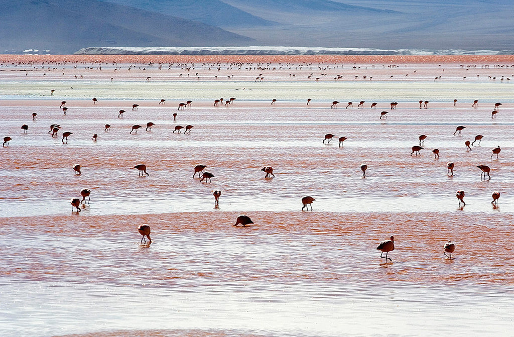 Salar de Unuyi – Bolivia