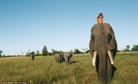 Tippi of Africa