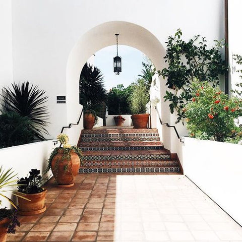 Summer Courtyard Dreaming…