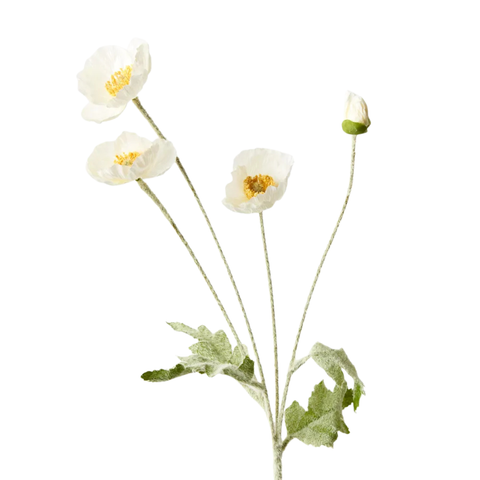 Poppy Spray - White
