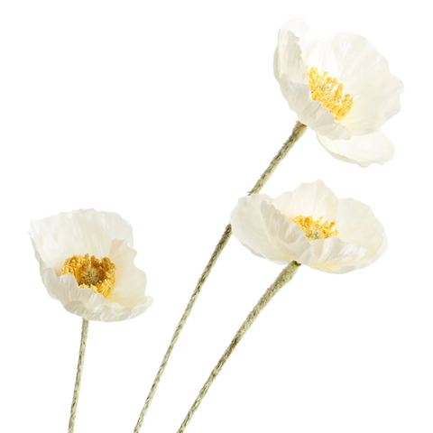 Poppy Spray - White