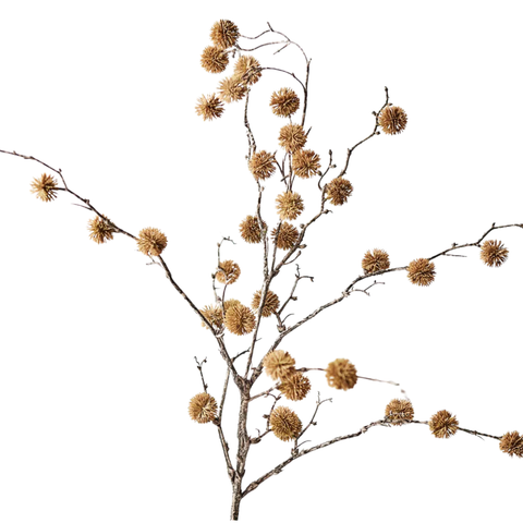 Sycamore Spray - Natural