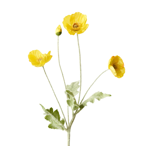 Poppy Spray - Yellow
