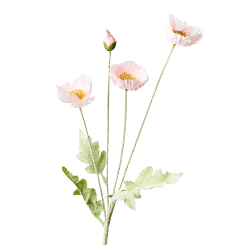 Poppy Spray - Light Pink