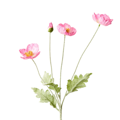 Poppy Spray - Fuchsia