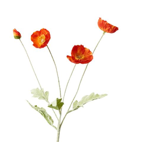 Poppy Spray - Burnt Orange