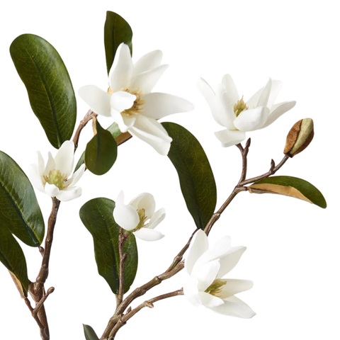 Magnolia Pearl Spray