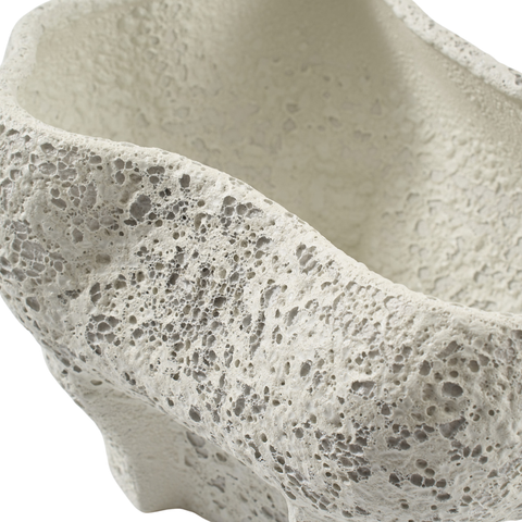 Conch bowl - Salt Crust