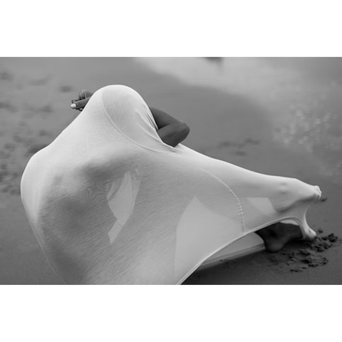 Sea Shell