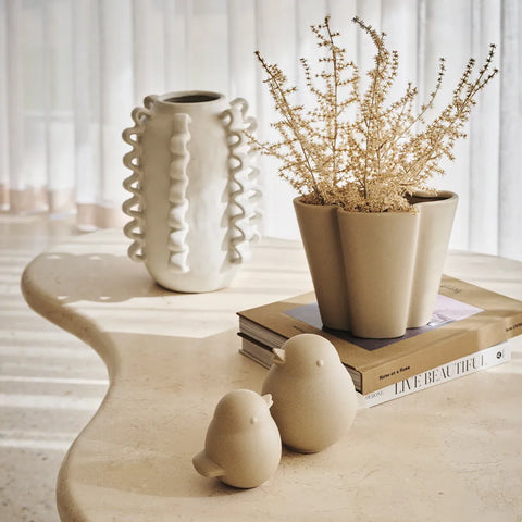 Asparagus Fern