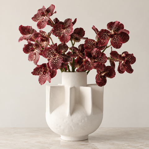 Vanda Orchid - Burgundy
