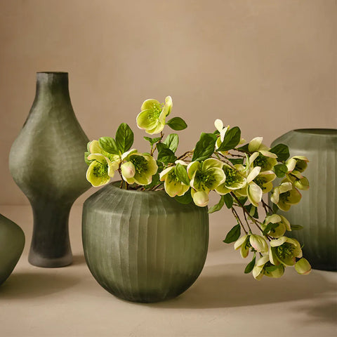 Hellebore Spray