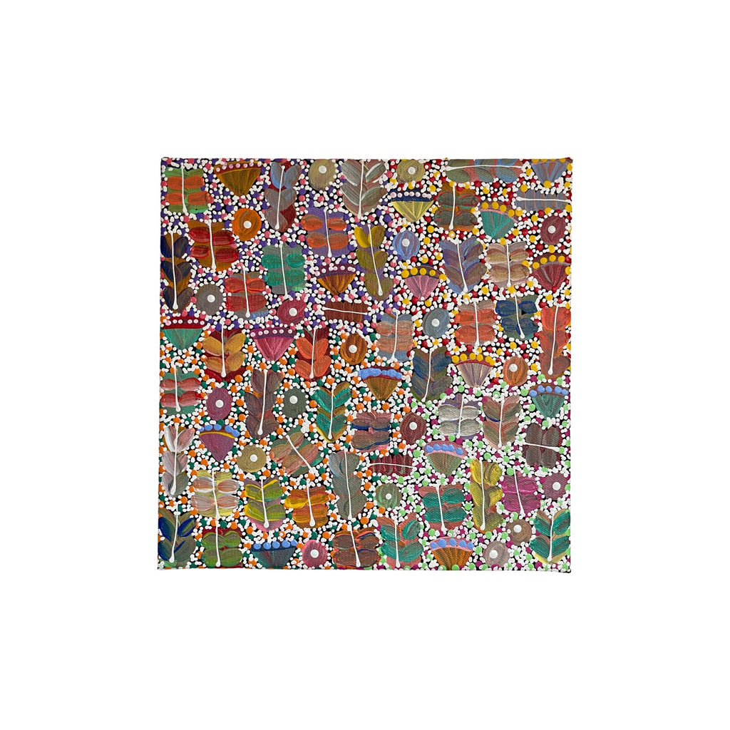 Bush Medicine 04 by Joycie Morton