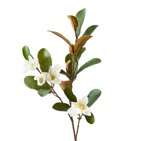 Magnolia Pearl Spray