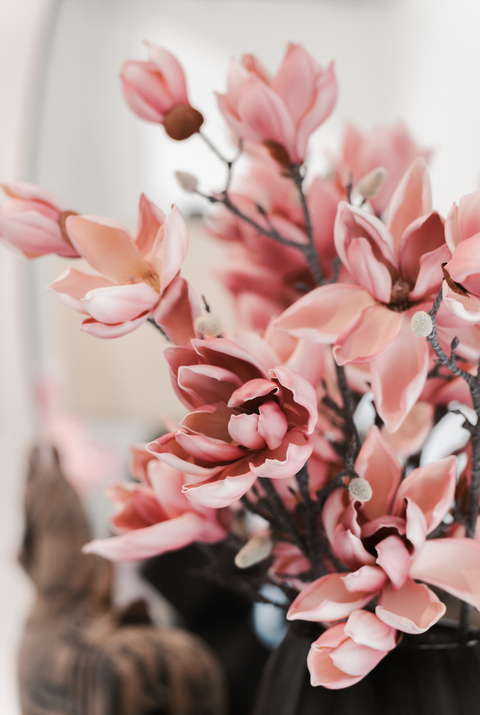 Magnolia Japanese Spray - Plum