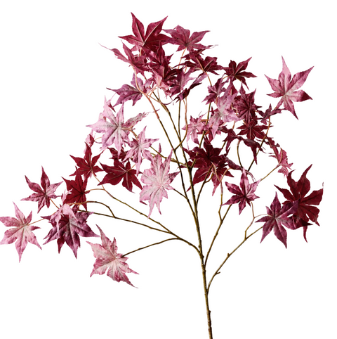 Japanese Maple Leaf Spray