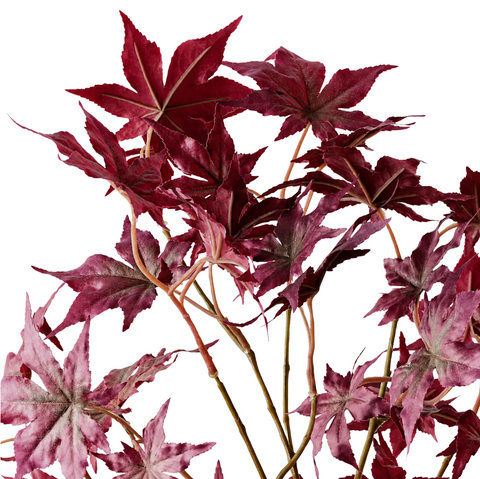 Japanese Maple Leaf Spray