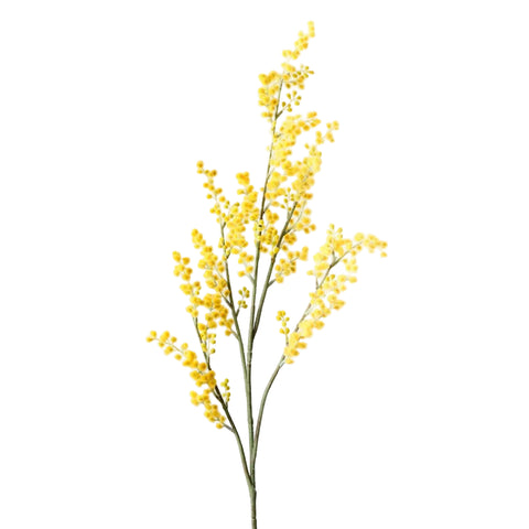 Wattle Spray