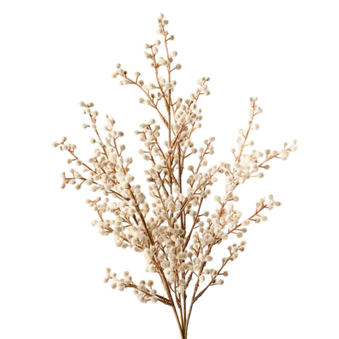 Wattle Bush - Natural