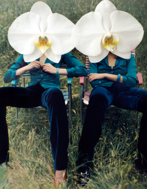 Sitting Pretty by Dina Broadhurst