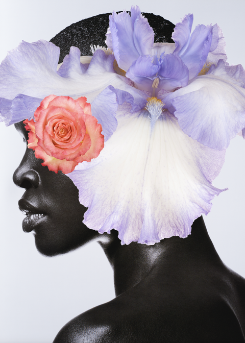 Purple Reign by Dina Broadhurst