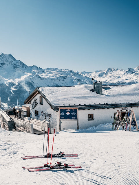 Paradiso Please by Stuart Cantor