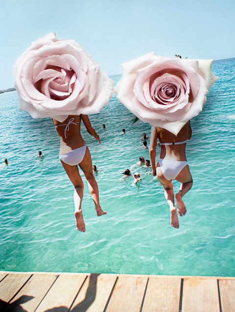 Catch Me If You Can by Dina Broadhurst