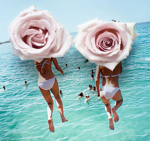 Catch Me If You Can by Dina Broadhurst