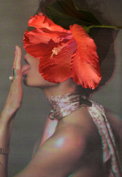 Lickety Split by Dina Broadhurst