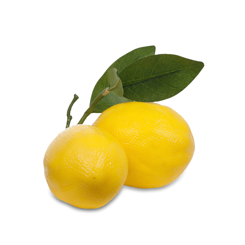 faux fake double lemons