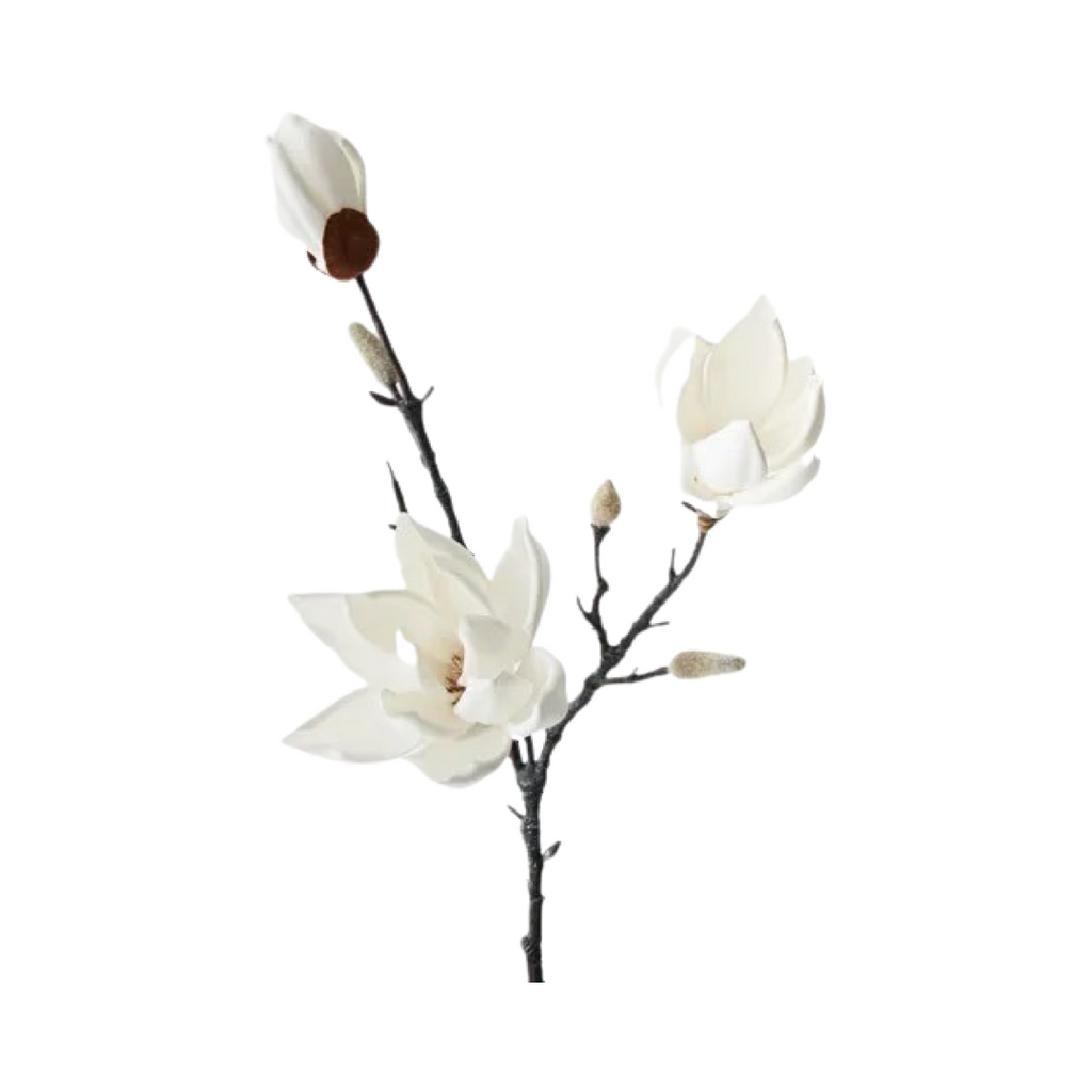 Magnolia Japanese Spray - White Small