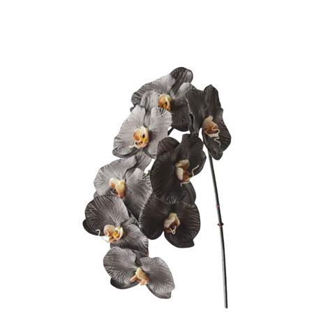 Orchid - Black